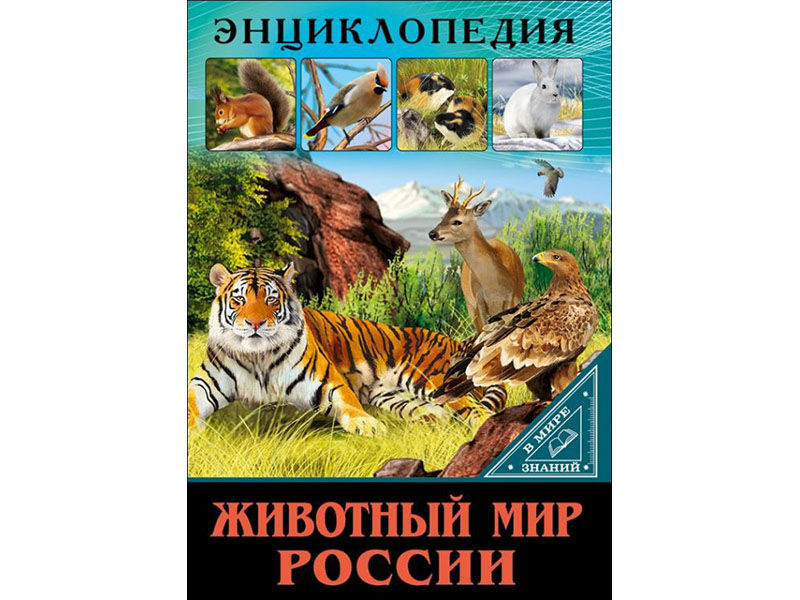 Энциклопедия. В мире знаний. Животный мир России