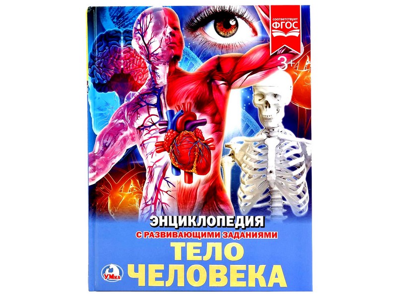 Донецк игрушка оптом ЭНЦИКЛОПЕДИЯ А4. ТЕЛО ЧЕЛОВЕКА (С РАЗВИВАЮЩИМИ ЗАДАНИЯМИ)