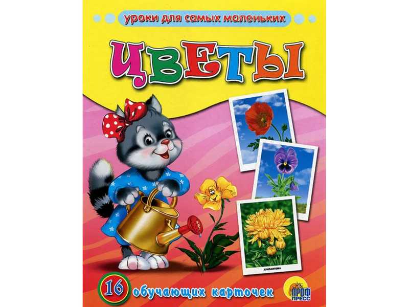 Донецк игрушка оптом ОБУЧАЮЩИЕ КАРТОЧКИ. ЦВЕТЫ