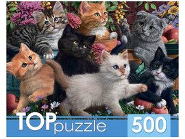 TOPpuzzle. Пазлы 500 эл. Игривые котята. ХТП500-6809