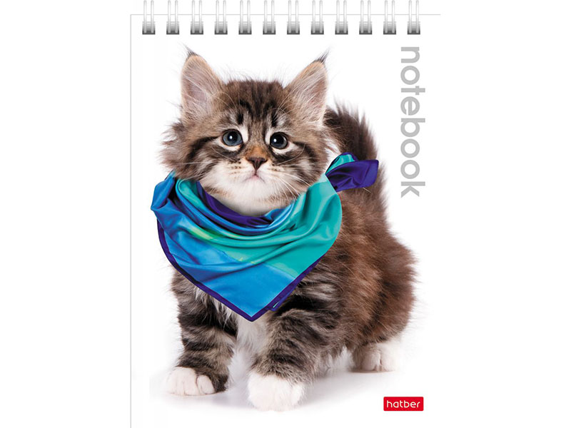 Блокнот А6 40 л. Милые Котята, клетка, спираль, ассорти