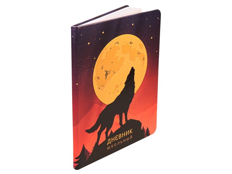 Донецк игрушка оптом Дневник школьный 48л. "ПОЛНОЛУНИЕ" (кожзам) Д48-5039