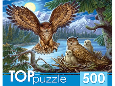 TOPpuzzle. Пазлы 500 эл. Ночные совы. ХТП500-4218