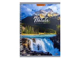 Тетрадь 48 л. Восхитительная природа, клетка, гребень. 48-7115