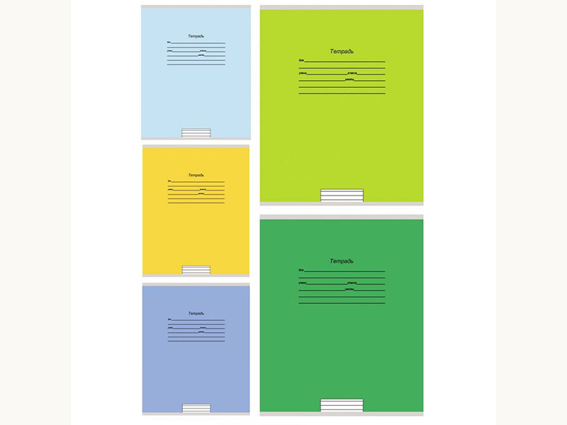 Тетрадь 24л Учусь на отлично-6, клетка, цв. мел. обл., 5 диз.