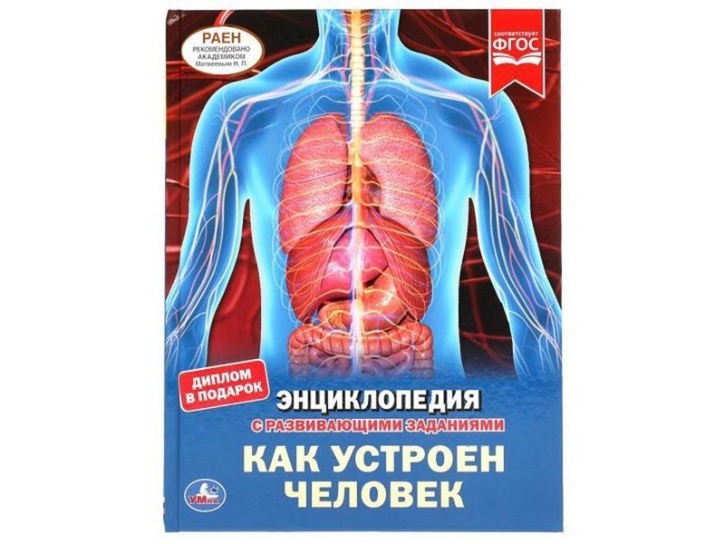 Донецк игрушка оптом ЭНЦИКЛОПЕДИЯ А4. КАК УСТРОЕН ЧЕЛОВЕК (С РАЗВИВАЮЩИМИ ЗАДАНИЯМИ)