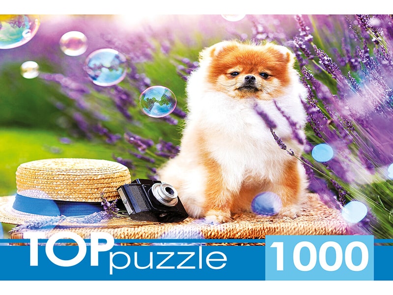 TOPpuzzle. Пазлы 1000 эл. ШТТП1000-9859 Шпиц в саду