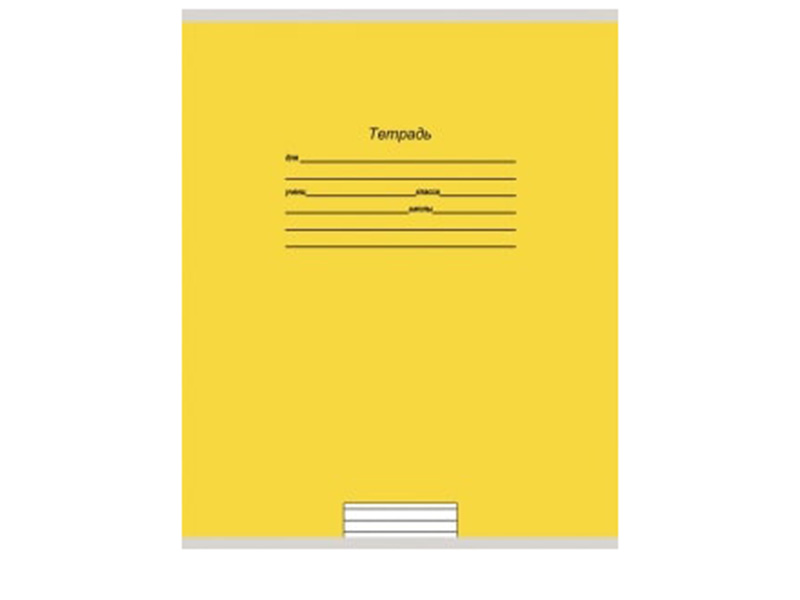 Тетрадь А5 18л линия "Учусь на отлично-2" цв. мел. обл.,5 диз.