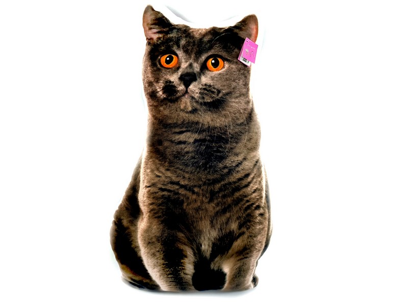 Донецк игрушка оптом Подушка-игрушка Кошка Британец 67см FPАВ-003