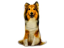 Подушка-игрушка Собака Колли 68см FPАВ-204 доставка оптом в Донецк