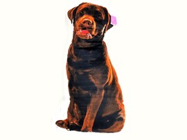 Подушка-игрушка Собака Лабрадор 68см FPАВ-201 доставка оптом в Донецк