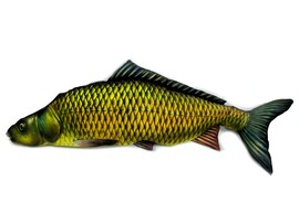 Подушка-игрушка Рыба Сазан 120см FPAB-301 доставка оптом в Донецк