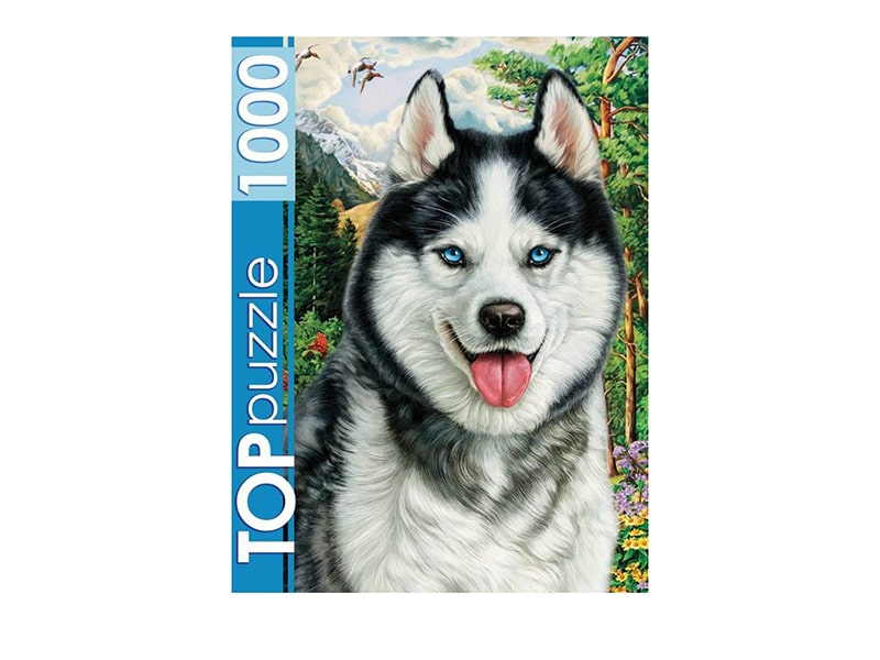 TOPpuzzle. Пазлы 1000 эл. Портрет хаски. ФТП1000-7178