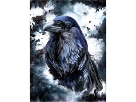 Холст с красками 30х40 см по номерам. МУДРЫЙ ВОРОН доставка оптом в Донецк