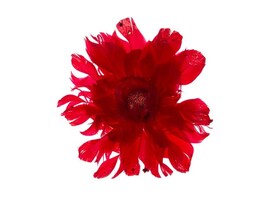 Елочное украшение ЦВЕТОК красный из гусиного пера на клипсе 14 см 89777 доставка оптом в Донецк