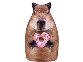 Мягкая игрушка-антистресс «КАПИБАРА ПОНЧИК» 30 см МТ30015 доставка оптом в Донецк