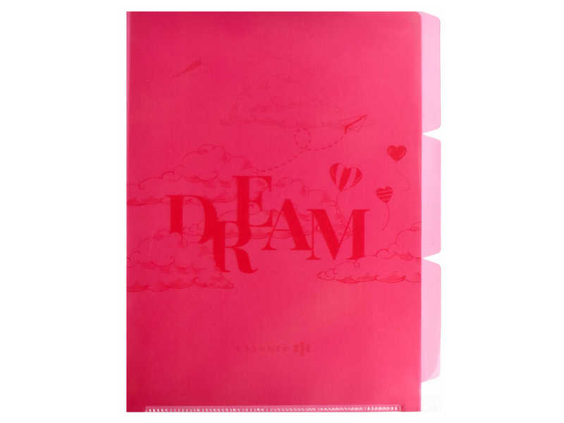 Донецк игрушка оптом Папка-уголок А4 для документов «МЕЧТАЙ» (пластик, 3 отделения)