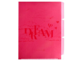 Папка-уголок А4 для документов «МЕЧТАЙ» (пластик, 3 отделения) доставка оптом в Донецк