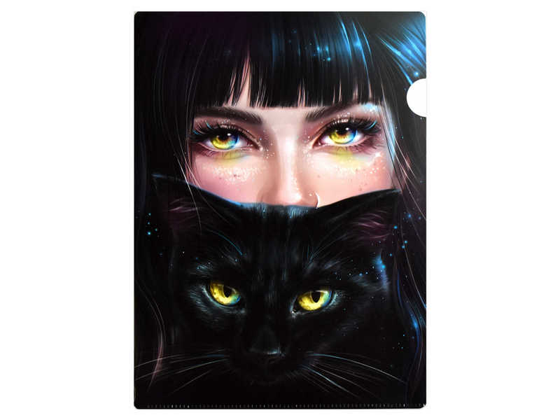 Донецк игрушка оптом Папка-уголок А4 для документов «ЗЕРКАЛО ДУШИ» (пластик)