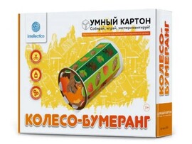 Набор для экспериментов "Колесо-бумеранг" доставка оптом в Донецк