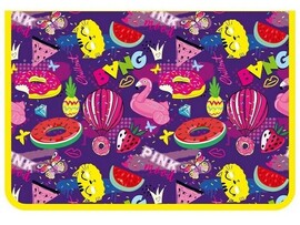 Папка для тетрадей А4 «Chillout» 2 отделения (пластик, на молнии) доставка оптом в Донецк