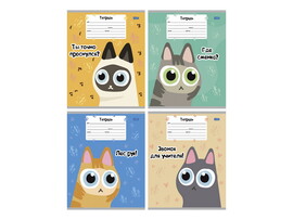 Тетрадь 18 л ЛИНИЯ «КОТОБУДНИ» (цвет. мелов. обл.) доставка оптом в Донецк