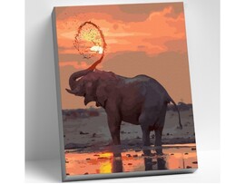Картина по ном. Цветной холст 40х50 Африканский слон, 31 цв. KK0738