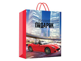 УЦЕНКА Пакет подар. глянц. лам. Авто. Лучший подарок 26*32*14 см PL-97436-SC