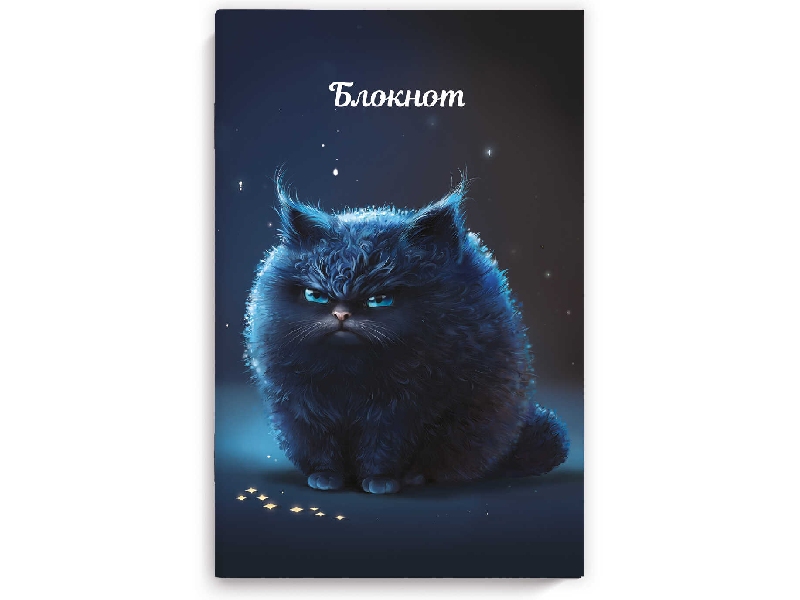 Блокнот 40 л. Недовольный кот, 120*185 мм, мягк. пер., софт тач. Арт. 67886