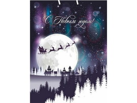 Пакет подарочный «ВОЛШЕБНАЯ ЛУНА» 26*32*10см (мат. лам.) ПКП-6679 доставка оптом в Донецк