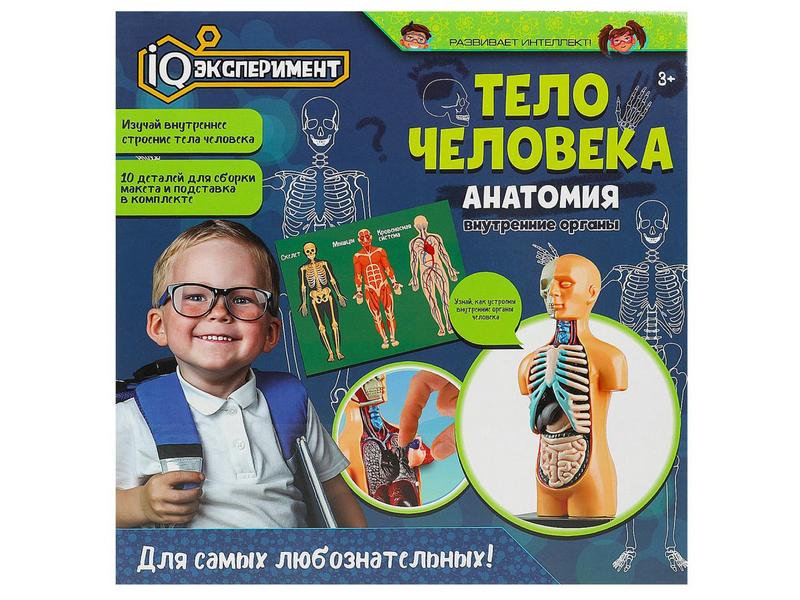 Донецк игрушка оптом Тело человека. Анатомия. Внутренние органы 10 дет.