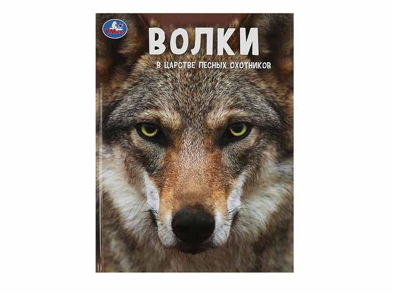 Волки. В царстве лесных охотников. Энциклопедия А4 с разв. заданиями