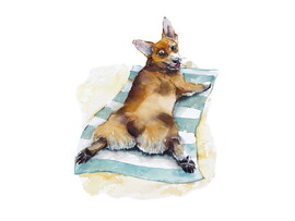 Холст с красками 17x22 см по номерам. КОРГИ НА ОТДЫХЕ доставка оптом в Донецк