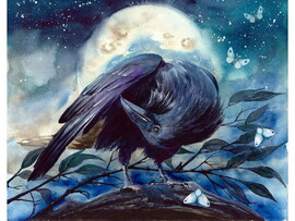 Холст с красками 17х22 см по номерам. НОЧНОЙ ВОРОН доставка оптом в Донецк