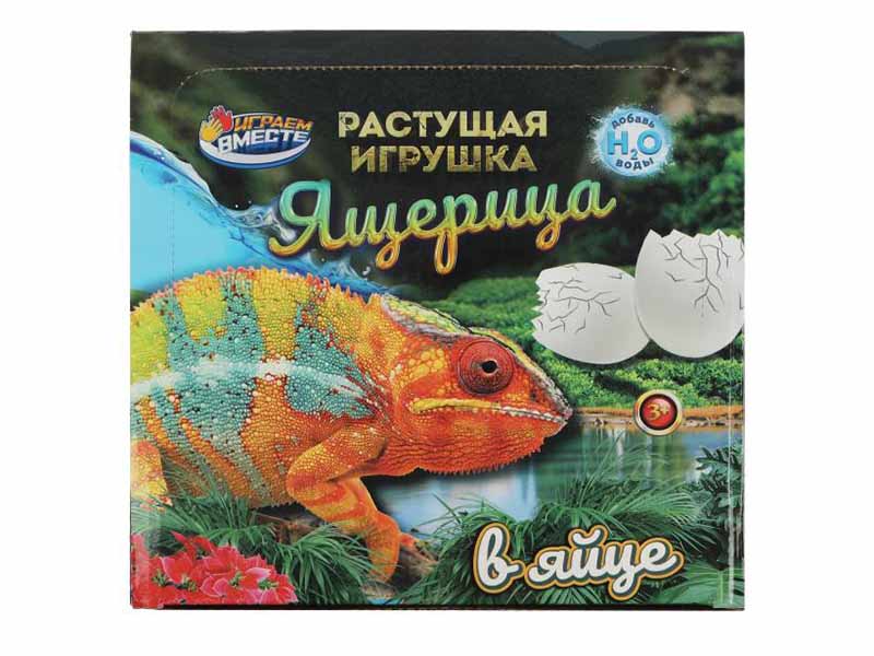 Растущая игрушка Ящерица в яйце, шоубокс. J041-H24002-R