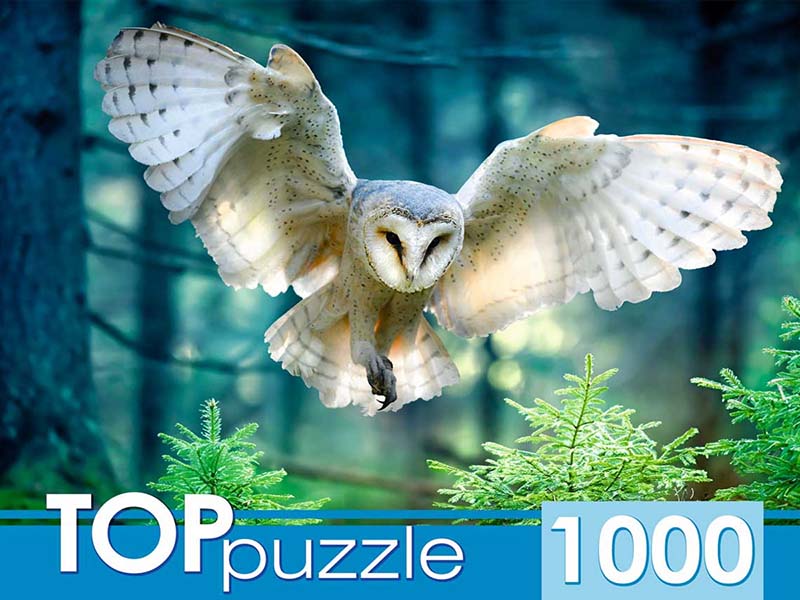 TOPpuzzle. Пазлы 1000 эл. Полет совы. ШТ1000-3870