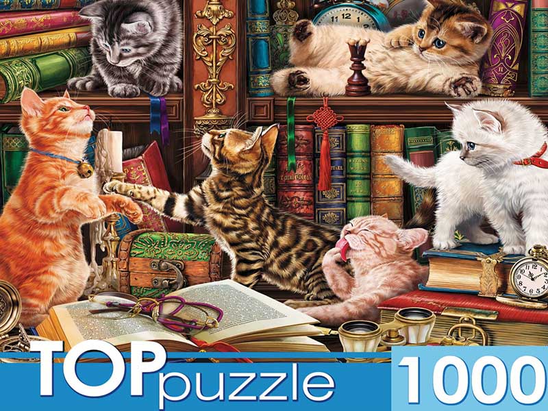 TOPpuzzle. Пазлы 1000 эл. Котята в библиотеке. Ф1000-7729