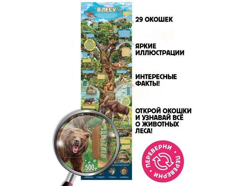 Донецк игрушка оптом Плакат с окошками. Секреты леса