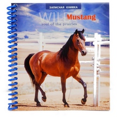 Блокноты, ежедневники, анкеты