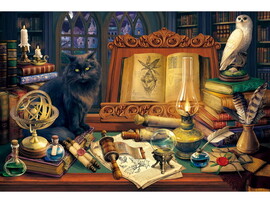 Холст с красками 40х50 см по номерам. МАГИЧЕСКИЙ НАТЮРМОРТ доставка оптом в Донецк