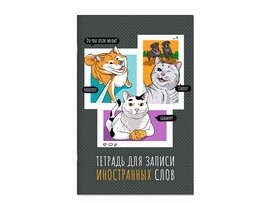 Тетрадь для записи иностранных слов А6 32 л. "Комикс" Арт. 67525