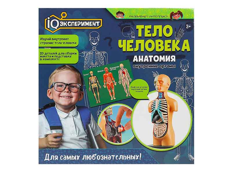 Опыты "IQ Эксперимент" Тело человека. Анатомия, 10 дет. A365-H24041-R