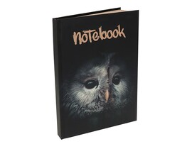 Записная книга А5 80 л. Сова, 7БЦ, soft touch, крафт блок. З80-3098