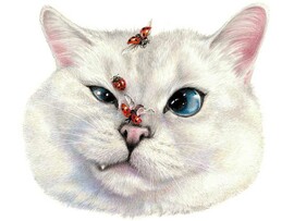 Холст с красками 17х22 см по ном. Мордашка кота. Арт. Х-3865