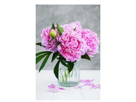 Холст с красками 22х30 см по ном. Нежные пионы. Арт. Х-4095