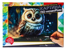 Холст по ном. на подр. 22х30 см Совушка. CANV22X30-OWL