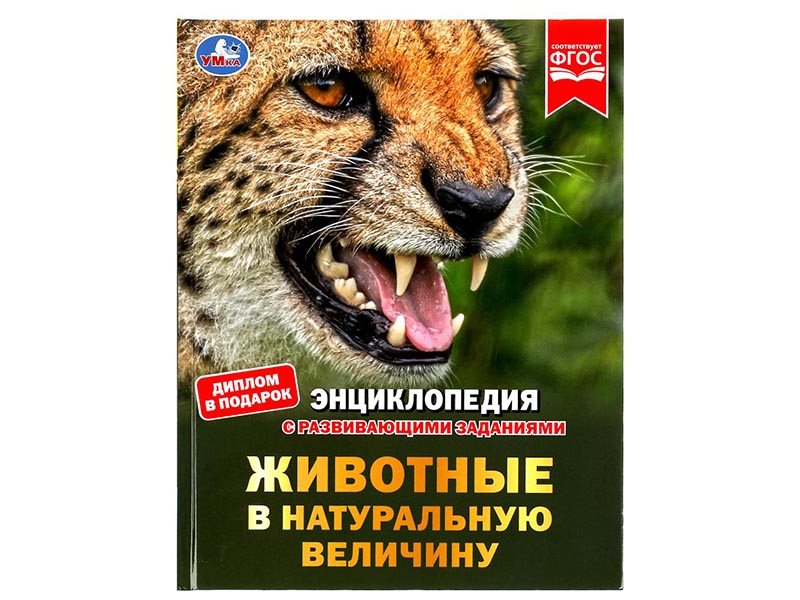 Животные в натуральную величину. Энциклопедия А4 с разв. заданиями
