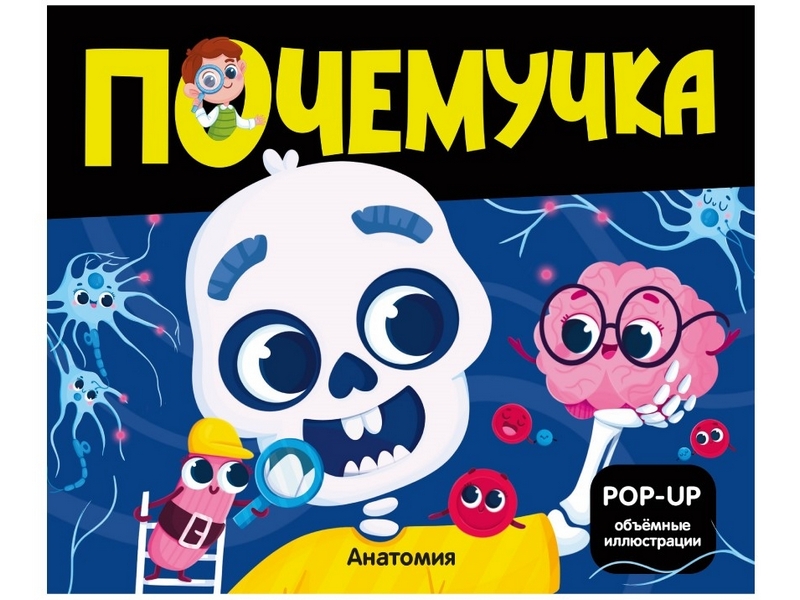 Донецк игрушка оптом Почемучка. Анатомия