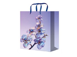 Пакет подар. глянц. лам. Стеклянные цветы 11.5х14.5 см. ППК-4307