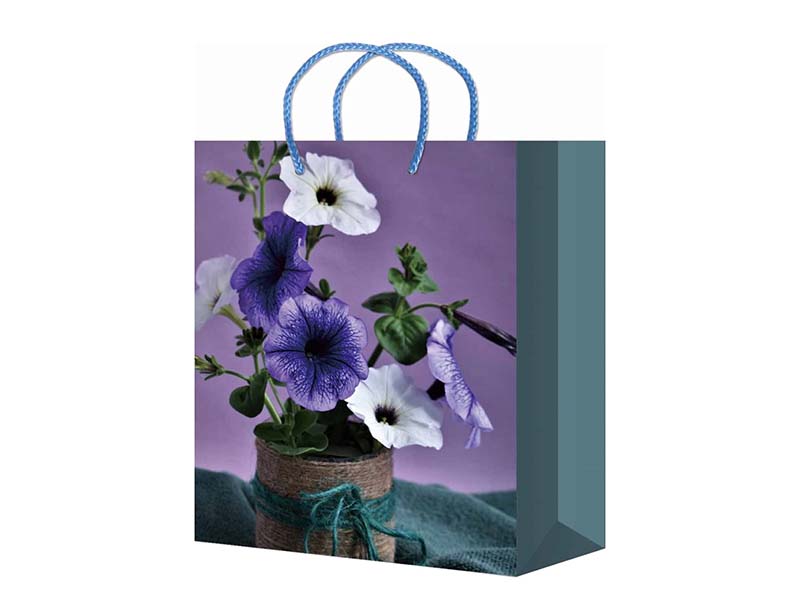 Пакет подар. глянц. лам. Петуния 22x31 см. ППК-4415